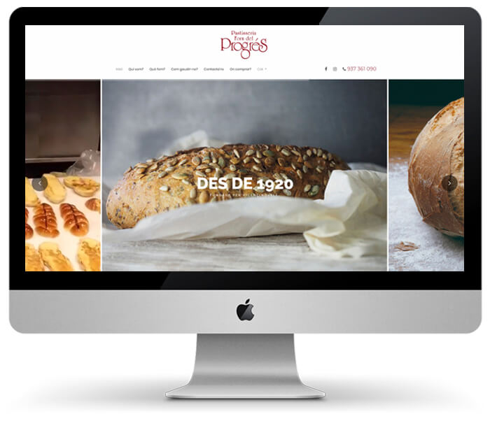 diseño paginas web